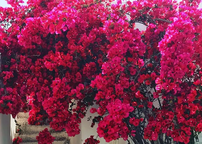 Lejlighed Margarita Antiparos